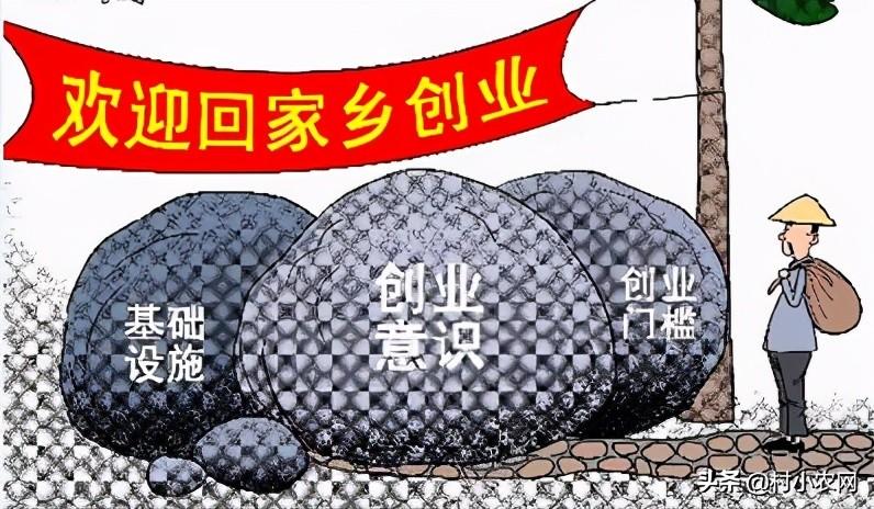 农村最新致富项目投资（投资少又赚钱的6个项目）