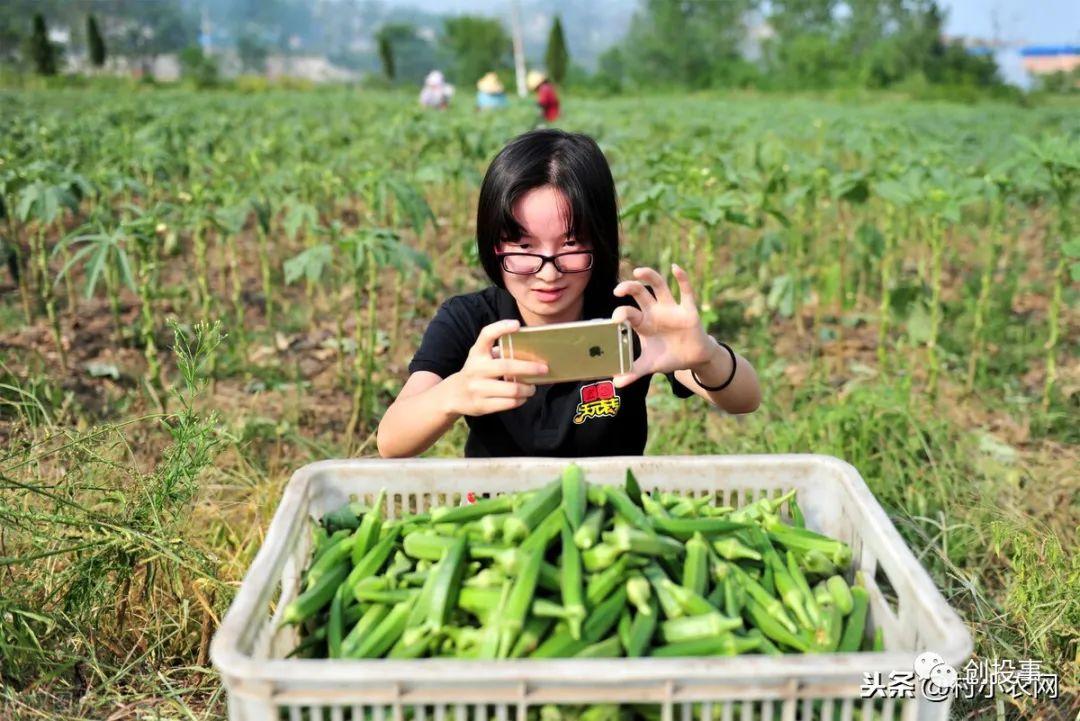 现在行情干什么能赚钱（月入2万的10个小生意）