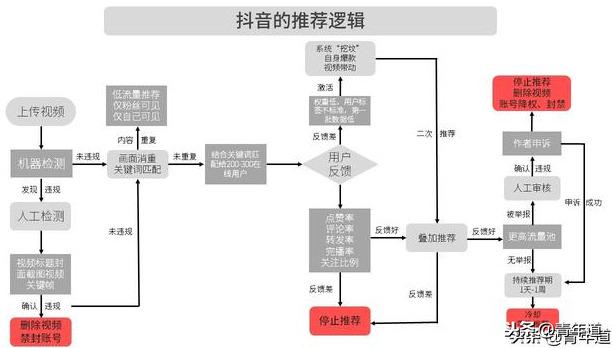 抖音推送规律是什么（解读抖音怎么清除偏好推荐）
