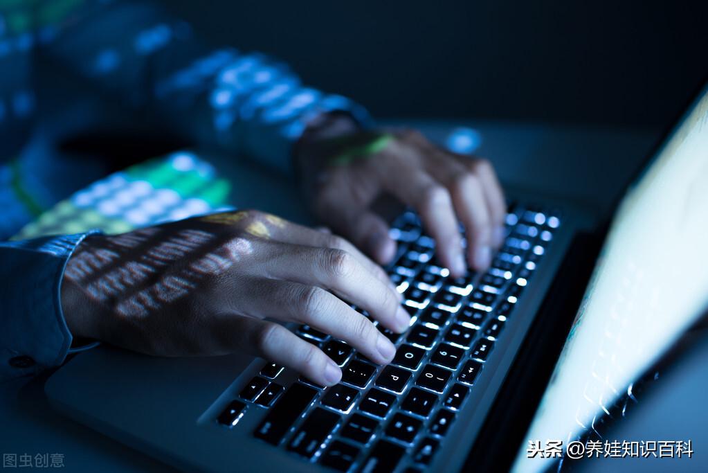 未来学点什么技术有前途（简述低学历适合学哪些技术）