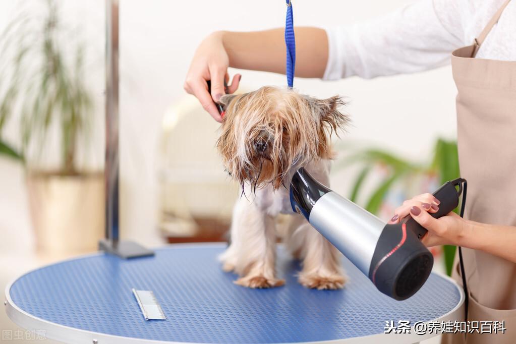 大学生工作越来越难找,如果想学技术的话,学什么比较有前途?