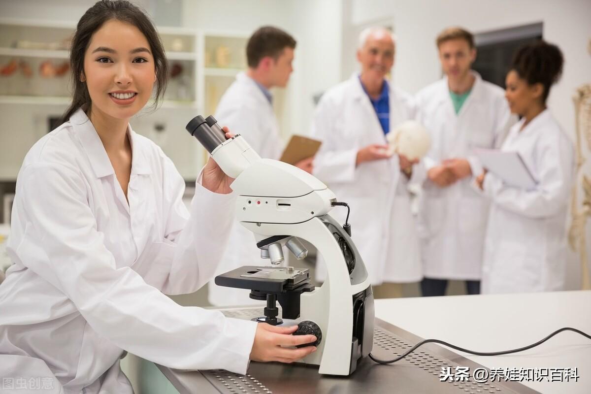 大学生工作越来越难找,如果想学技术的话,学什么比较有前途?