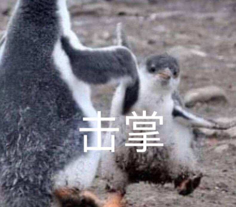 新手到底怎么利用网络赚钱?还在辛辛苦苦的做体力兼职吗?