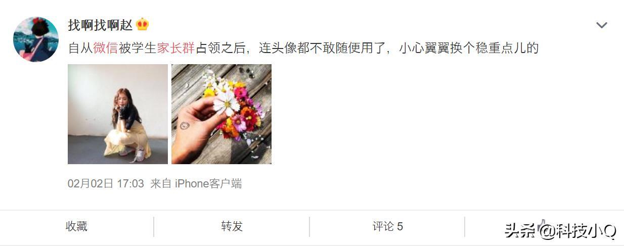 为什么学校都开始用钉钉了?答案在这里