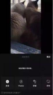 做抖音视频必备的几款工具今天分享给大家!
