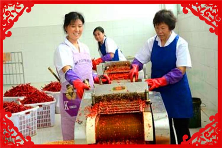 开办加工厂,这几个项目很适合农村,可以考察