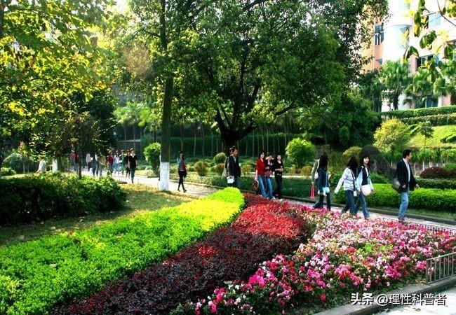 初三毕业学什么专业有前途。老师的见解,家长要看看