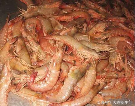 大连海产品有哪些（海鲜零食品牌排行榜）