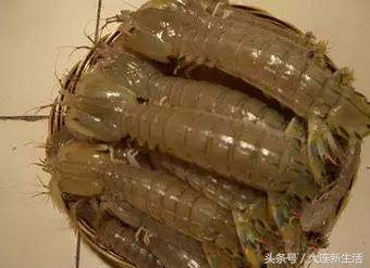 手把手教你认遍大连海鲜,看看你都吃遍了没有?(上)