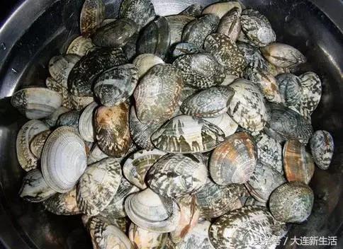 手把手教你认遍大连海鲜,看看你都吃遍了没有?(上)