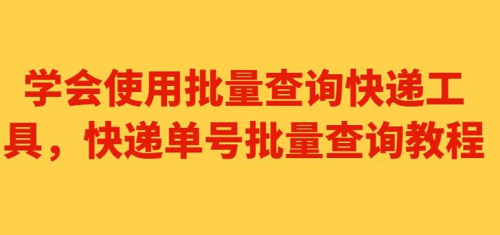 怎么查快递单号是什么东西（输入手机号查物流单号技巧）