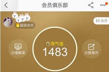 手机淘宝淘气值在哪里看（快速刷淘气值方法攻略）