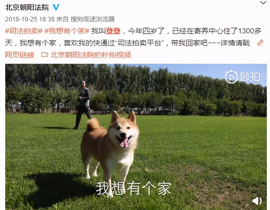 阿里拍卖:一个神奇的网站