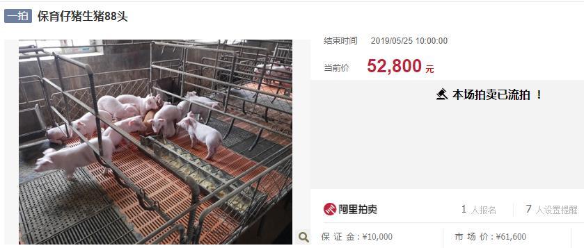 阿里拍卖:一个神奇的网站