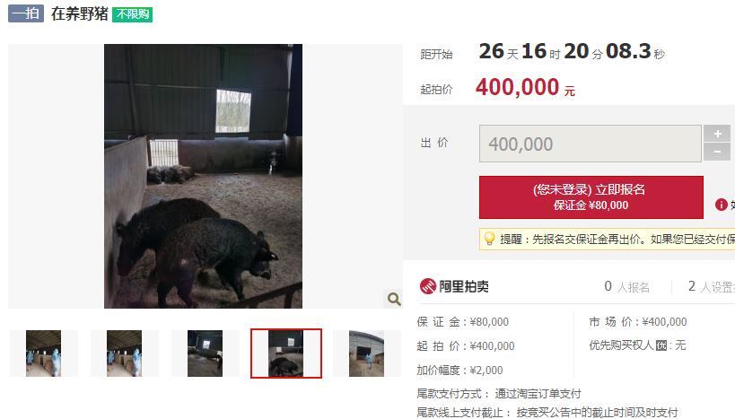 阿里拍卖:一个神奇的网站