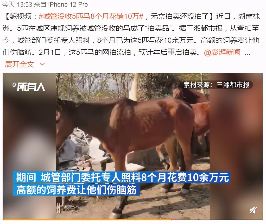 阿里拍卖:一个神奇的网站