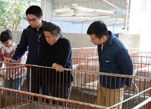 生意不好做,可以考虑农村这四个项目