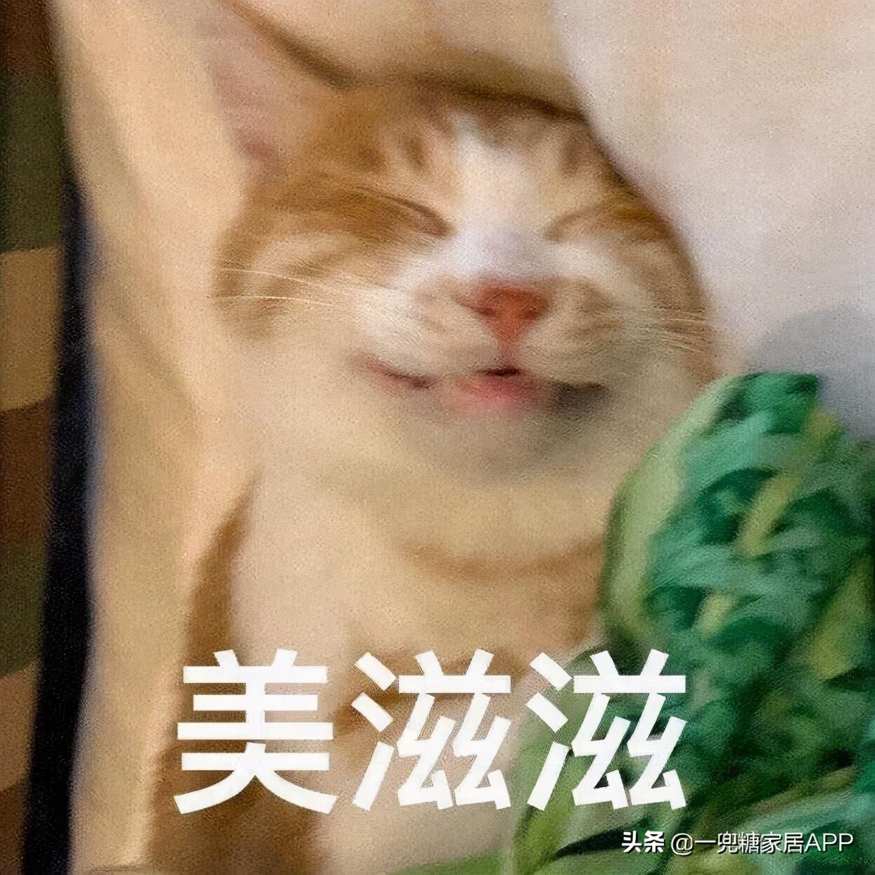 比拼多多便宜,比闲鱼靠谱,这个神仙网站还有人不知道?