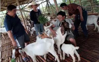 想创业,没资金?这5种借贷方法你可以试试!