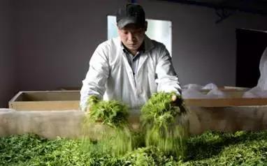 想创业,没资金?这5种借贷方法你可以试试!