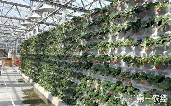 投资小见效快的6个致富小项目!