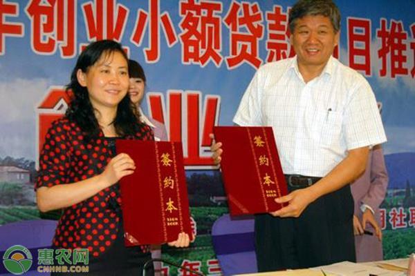 农村创业贷款怎么申请?申请贷款流程是怎样的?