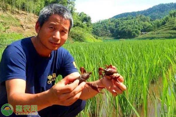 农村创业贷款怎么申请?申请贷款流程是怎样的?