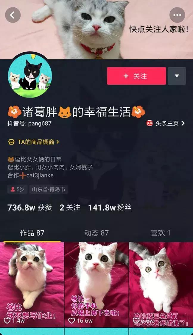 萌宠话题播放量破167亿,All in抖音成宠物食品营销大势
