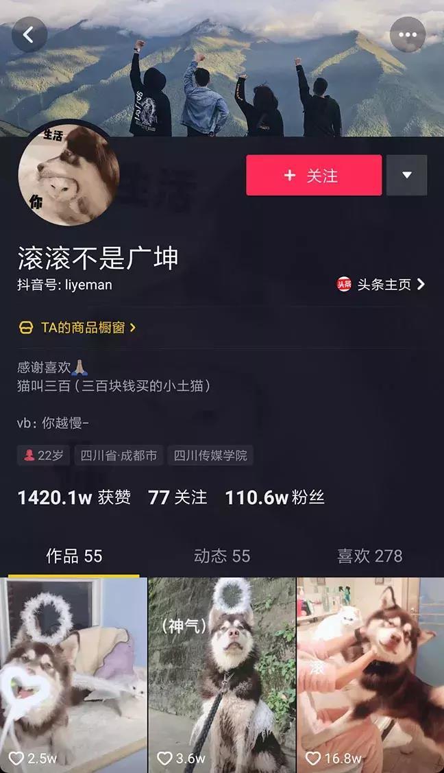 萌宠话题播放量破167亿,All in抖音成宠物食品营销大势