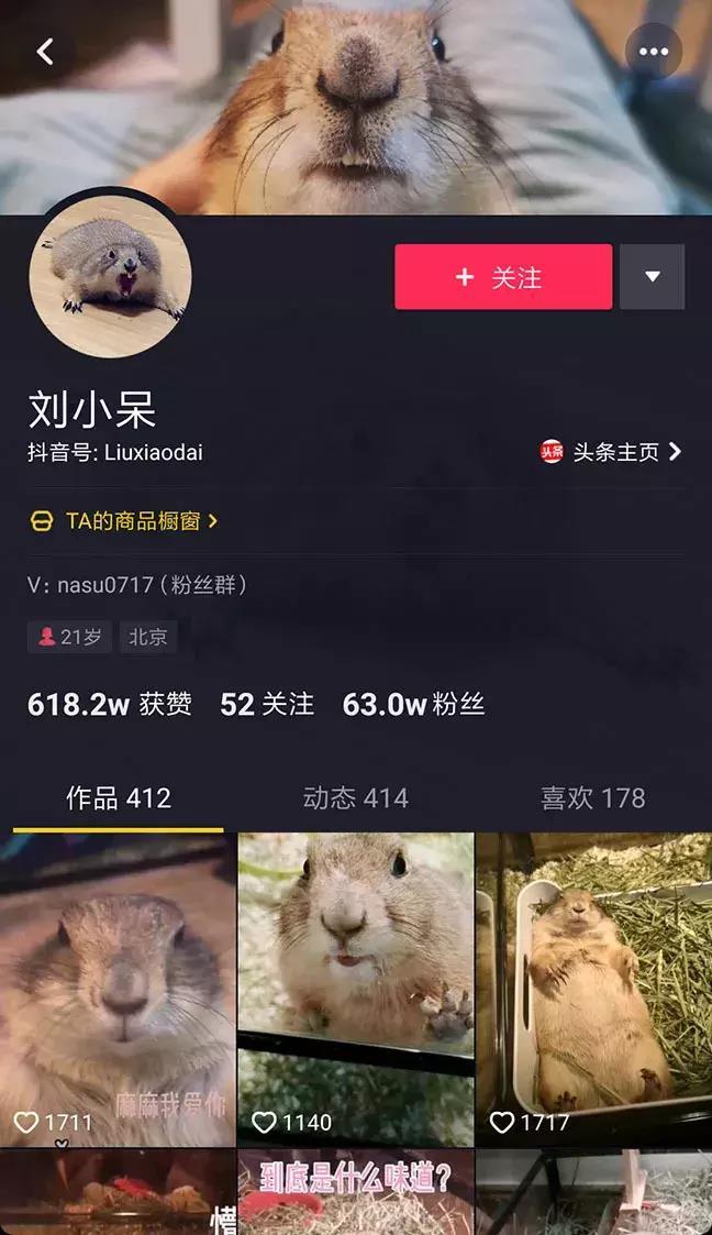萌宠话题播放量破167亿,All in抖音成宠物食品营销大势
