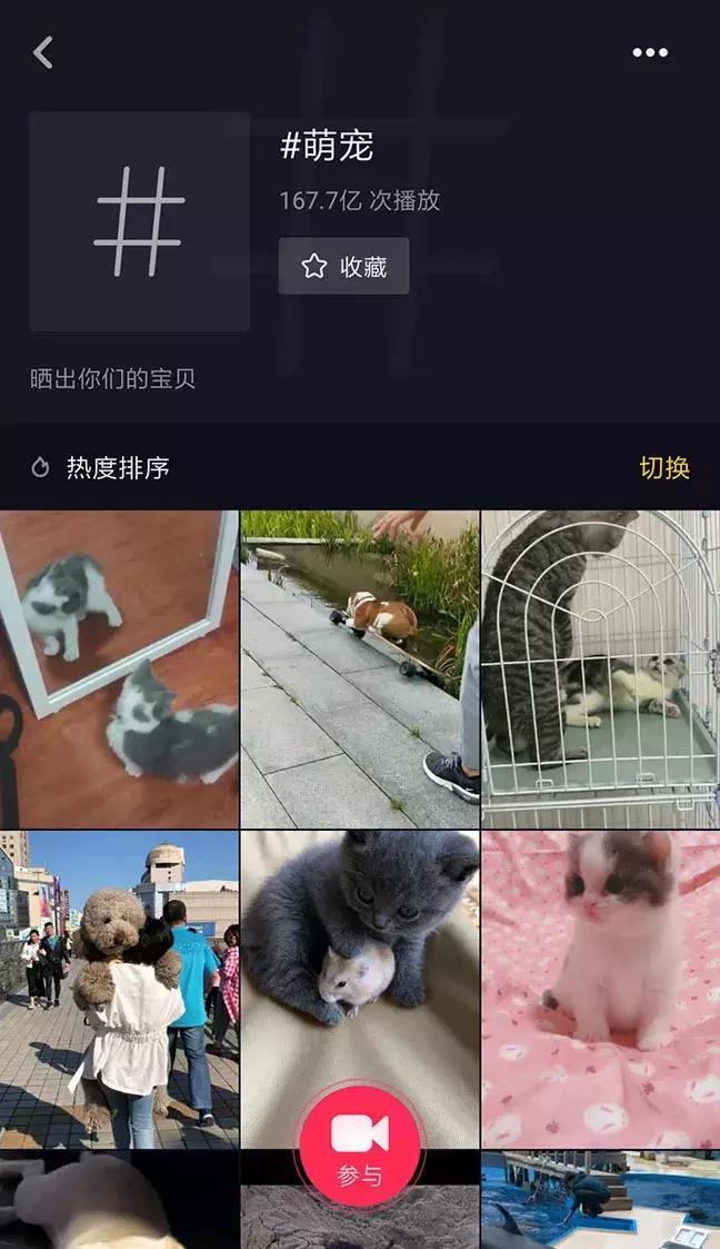 萌宠话题播放量破167亿,All in抖音成宠物食品营销大势