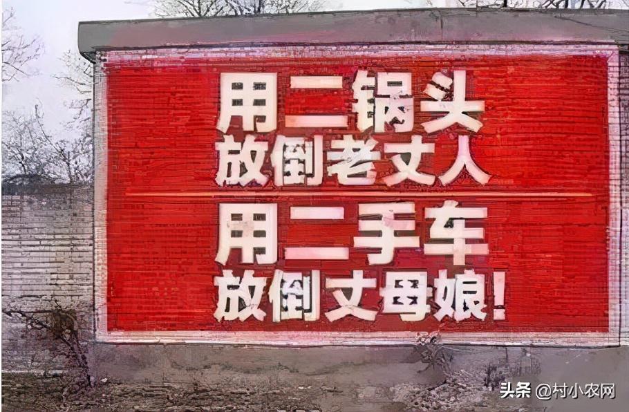 2021年在农村创业,试试这25个致富项目,搞好了不比打工差