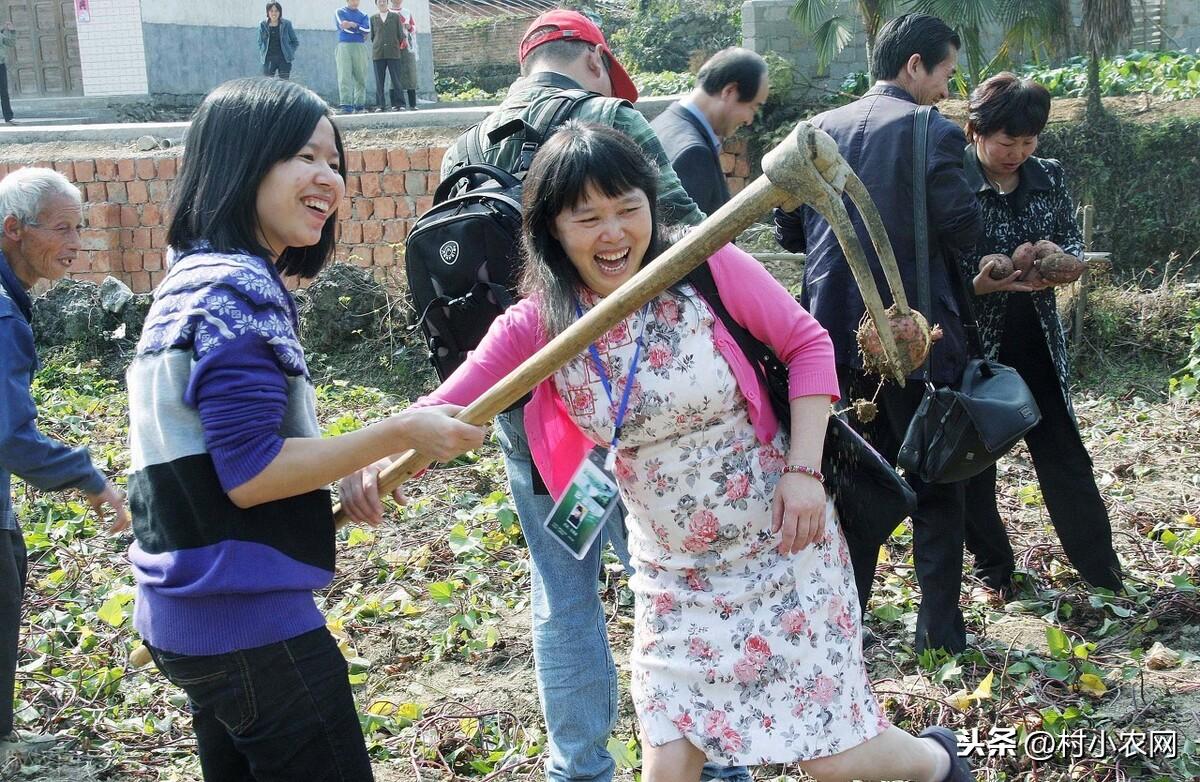 外出打工不挣钱,试试这8个农村创业项目,搞好了你就能娶媳妇了