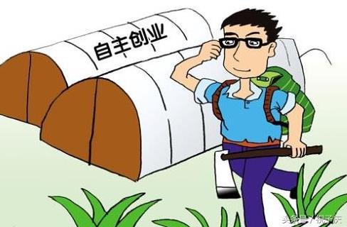 申请国家补贴项目有哪些（2021国家扶持4大项目申请）