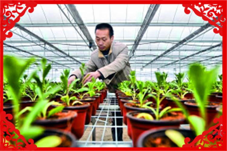 农村办厂,这几个项目值得关注,推荐一下