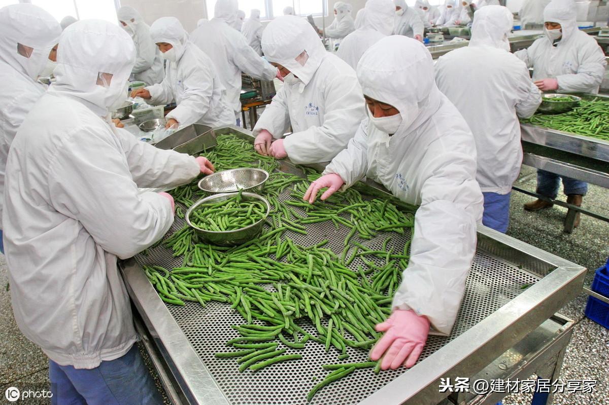 2020年最有前景小投资工厂,低调的暴利项目年入30万不是梦