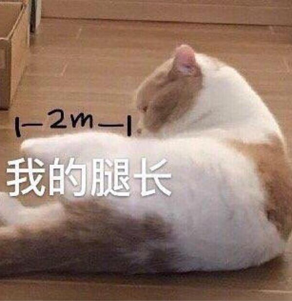 95个沙雕有趣的群昵称 |我选亚洲富婆俱乐部