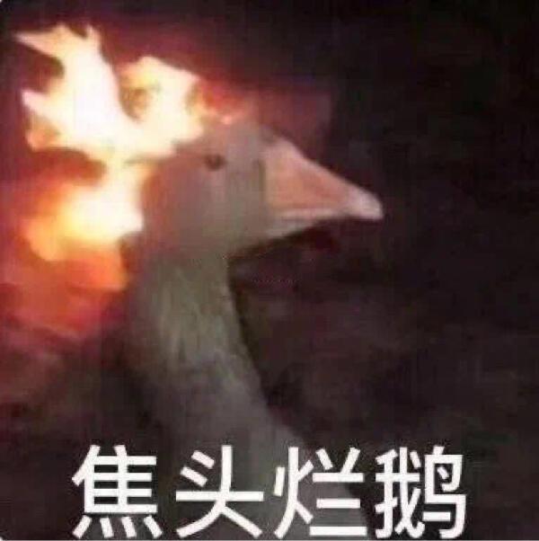 95个沙雕有趣的群昵称 |我选亚洲富婆俱乐部