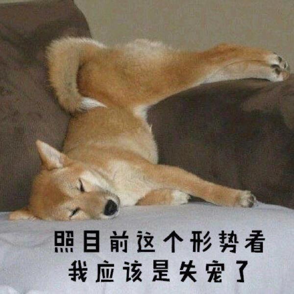 95个沙雕有趣的群昵称 |我选亚洲富婆俱乐部