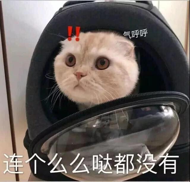 95个沙雕有趣的群昵称 |我选亚洲富婆俱乐部