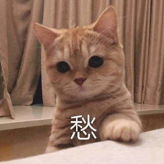 95个沙雕有趣的群昵称 |我选亚洲富婆俱乐部
