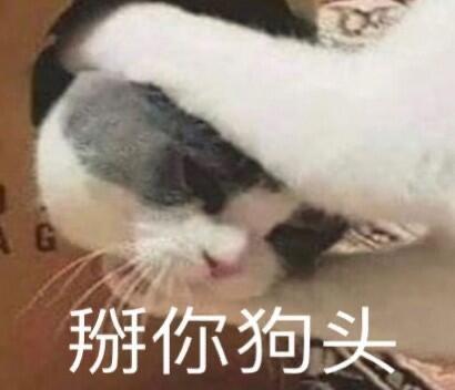 95个沙雕有趣的群昵称 |我选亚洲富婆俱乐部