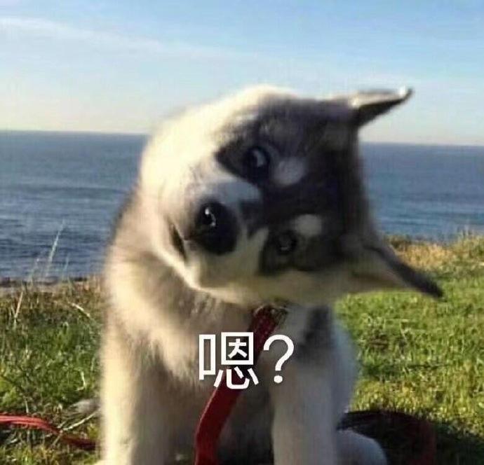 95个沙雕有趣的群昵称 |我选亚洲富婆俱乐部