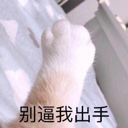 95个沙雕有趣的群昵称 |我选亚洲富婆俱乐部