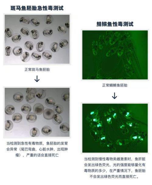 不想吃毒口红就转给男友吧,这8款口红安全又好用