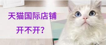 天猫国际店铺到底开不开?入驻天猫国际有哪些好处?