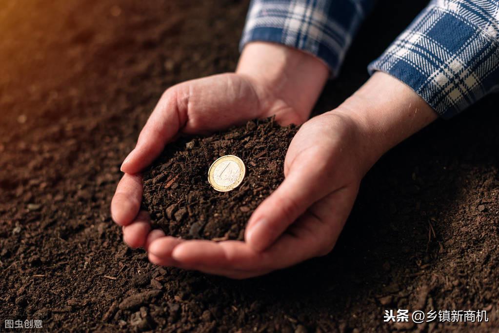 2019年5个变废为宝白手起家致富项目分享