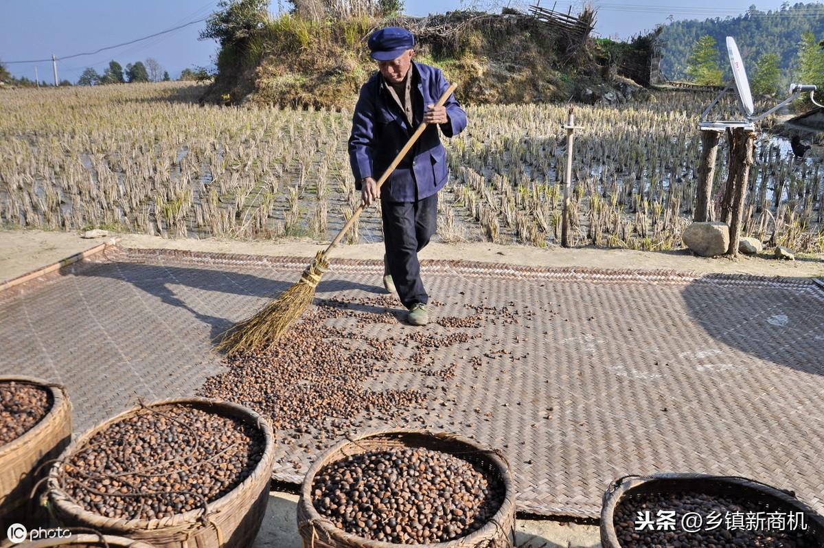 2019年5个变废为宝白手起家致富项目分享