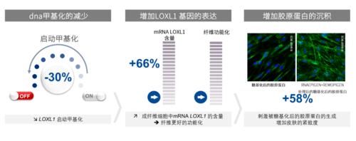 从基因出发定义护肤模式,揭密蔓之研能量源液科技成分