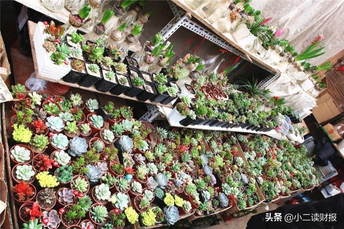 上海各大批发市场 建议收藏